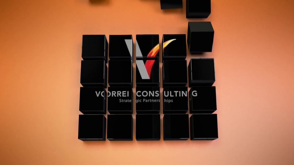 Vorrei Consulting intro